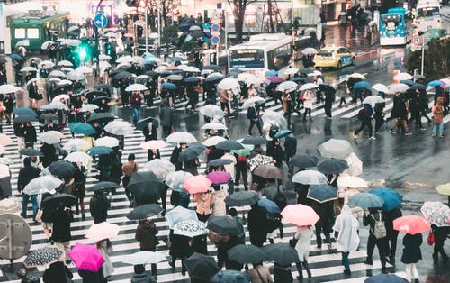 有关下雨天, 交通标识, 人的免费素材图片