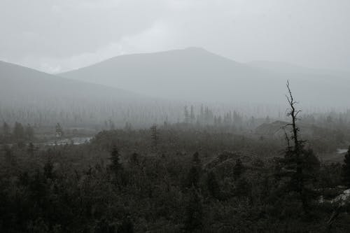 有关bw, 乾的, 冷的免费素材图片