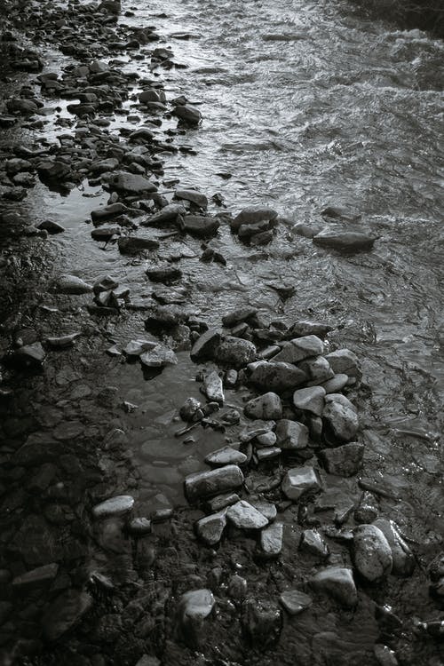 有关bw, 不变, 分散的免费素材图片