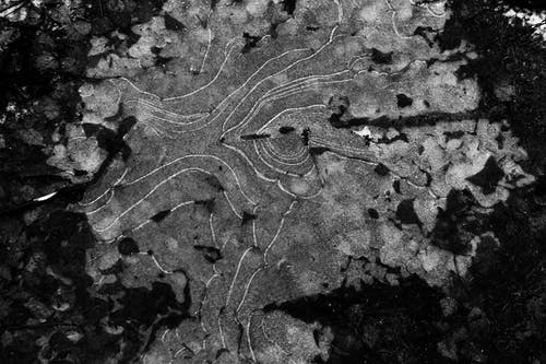 有关bw, 一般开销, 俯视图的免费素材图片