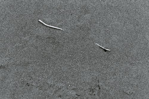 有关bw, 不变, 光滑的免费素材图片