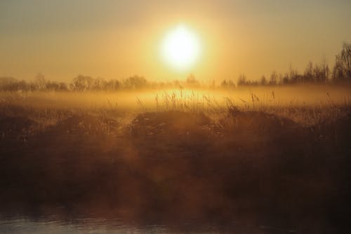 有关下落, 乾的, 光线的免费素材图片