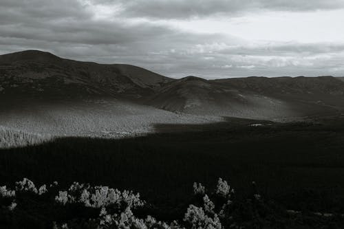 有关bw, 冷静, 和平的免费素材图片