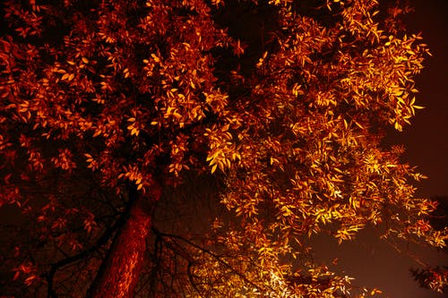 有关下落, 不变, 从下面的免费素材图片