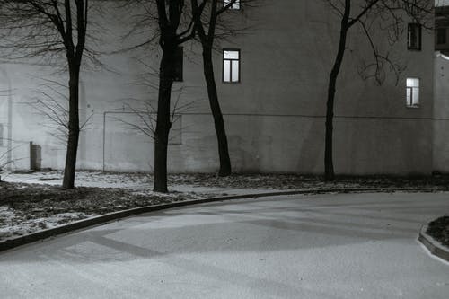 有关bw, 下落, 光的免费素材图片