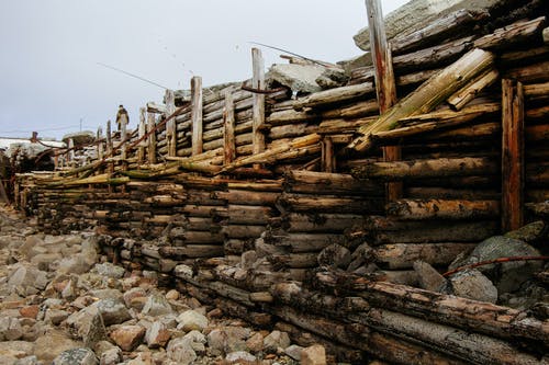 有关俄国, 俄罗斯联邦, 冷静的免费素材图片