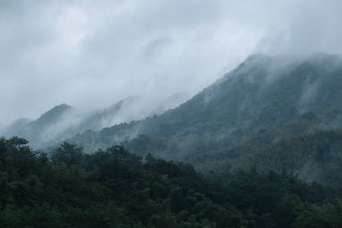 有关不变, 增长, 坏心情的免费素材图片