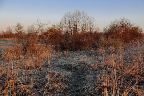 有关下落, 冷, 冷冻的免费素材图片