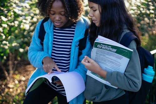 在公园中与作业簿互动，种植多样化的女学生 · 免费素材图片