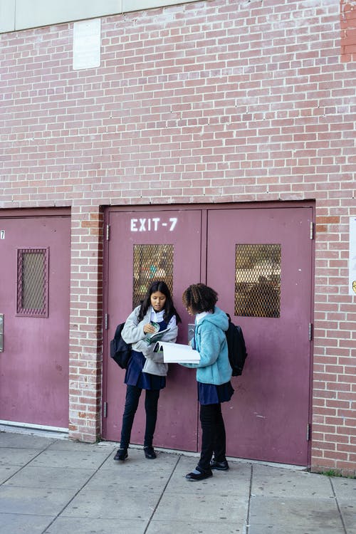 集中女学生在学校大楼附近看课本 · 免费素材图片