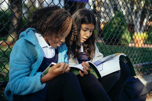 细心的女学生在秋天公园阅读教科书 · 免费素材图片