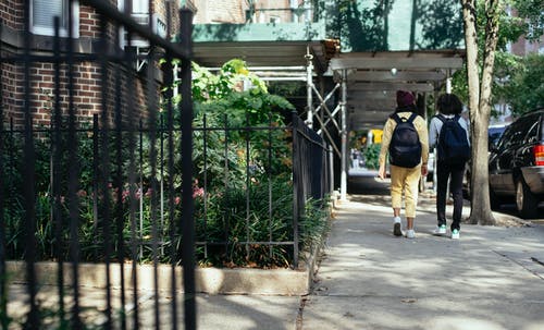 女学生一起走在街与树上 · 免费素材图片