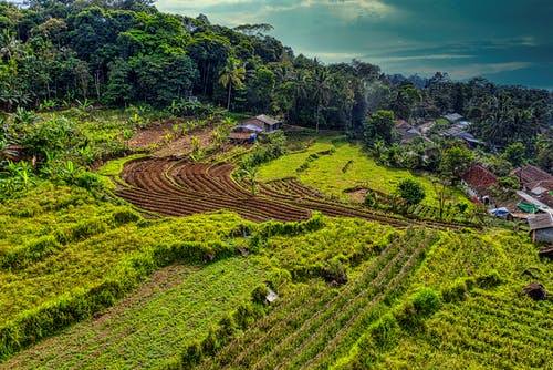 有关住, 住宅, 和平的的免费素材图片