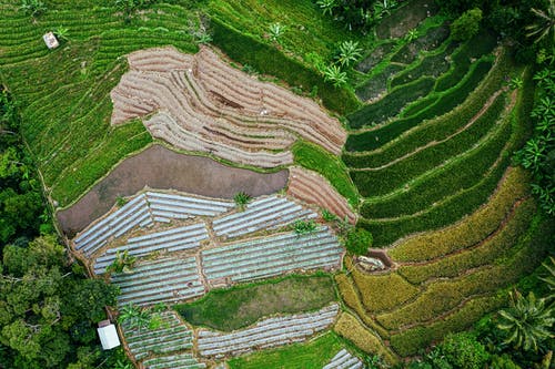 有关俯视图, 冷静, 和平的的免费素材图片