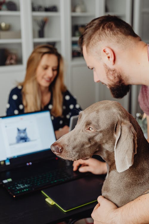 有关3C用品, 人, 同事的免费素材图片