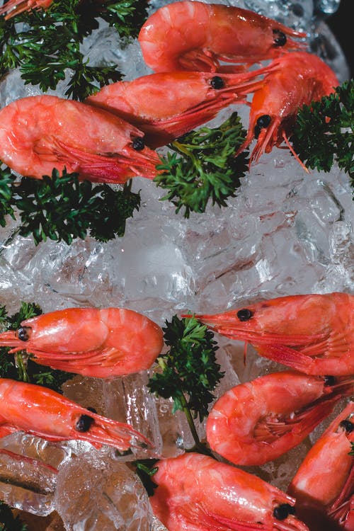 有关一般开销, 布局, 作文的免费素材图片