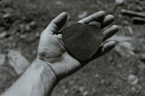 有关bw, 一般开销, 不均匀的的免费素材图片