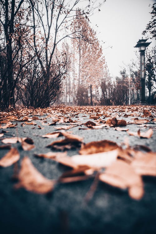 有关低角度拍摄, 地面, 垂直拍摄的免费素材图片