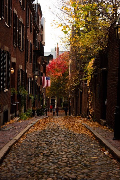 有关atmosfera de outono, 圆石, 垂直拍摄的免费素材图片