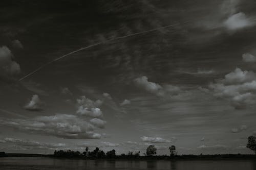 有关bw, 不变, 剪影的免费素材图片