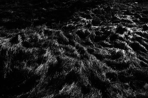 有关bw, Copyspace, 不均匀的的免费素材图片