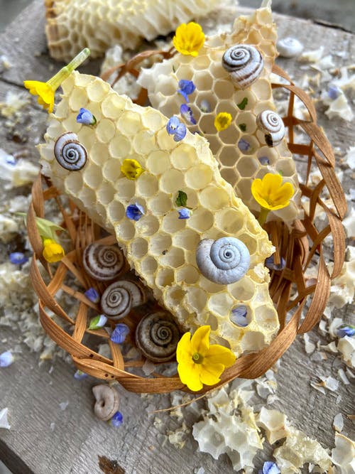 贝壳在稻草篮子里的蜂蜡 · 免费素材图片