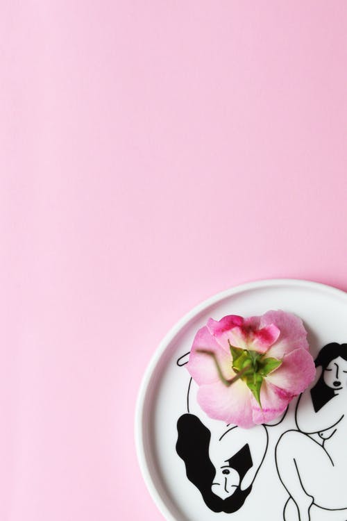 白色和紫色花卉陶瓷板 · 免费素材图片