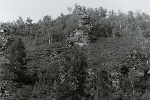 有关bw, 不变, 不均匀的的免费素材图片