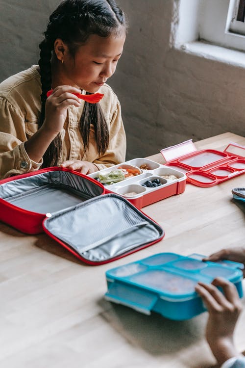 可爱的亚洲女孩在塑料容器中吃美味的有机餐 · 免费素材图片