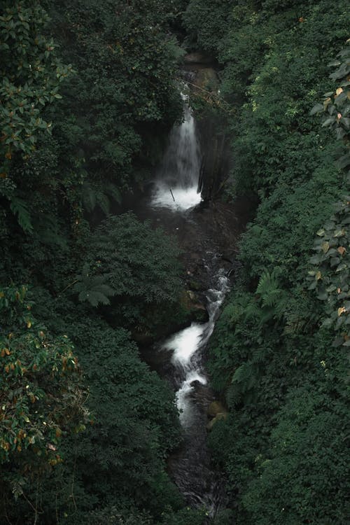有关垂直拍摄, 天性, 户外的免费素材图片
