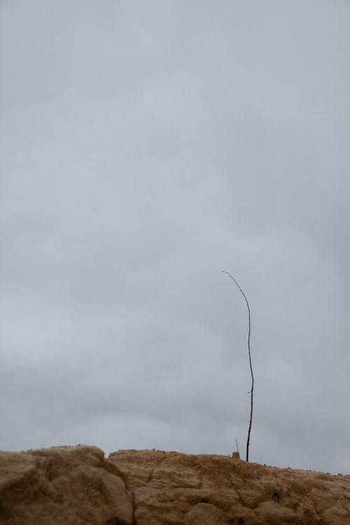 有关不均匀的, 乾旱, 乾的的免费素材图片