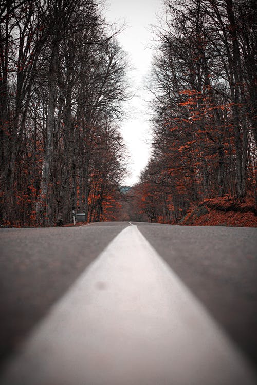 有关下落, 乾的, 光的免费素材图片