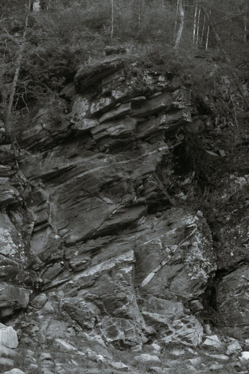 有关bw, 不变, 不均匀的的免费素材图片