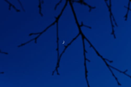 有关不均匀的, 乾的, 从下面的免费素材图片