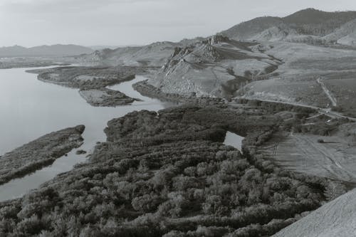 有关bw, 不均匀的, 乾的的免费素材图片