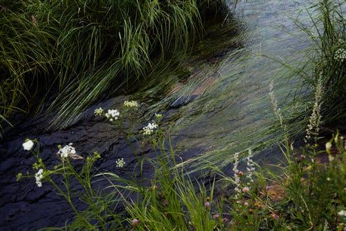 有关不变, 和平的, 地平线的免费素材图片