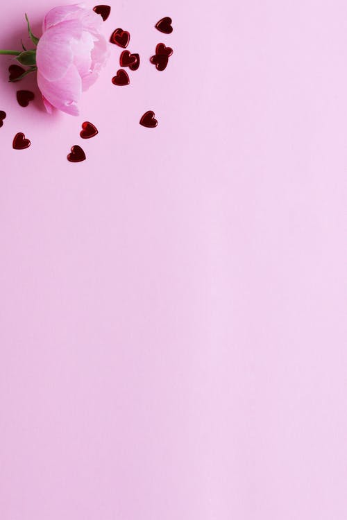 粉色和白色蝴蝶墙装饰 · 免费素材图片