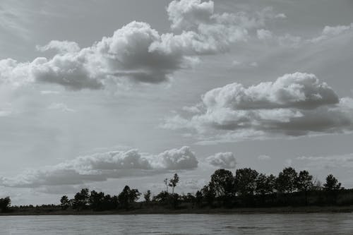 有关bw, 不变, 华丽的的免费素材图片