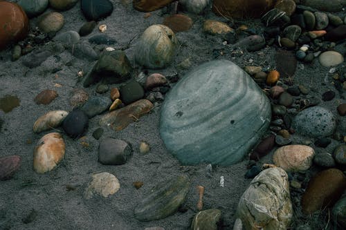 有关不变, 冷静, 华丽的的免费素材图片