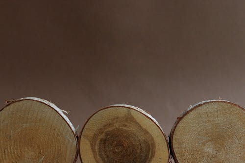 棕色和白色圆形装饰 · 免费素材图片