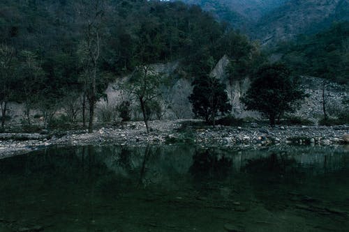 有关不变, 冷靜, 华丽的的免费素材图片