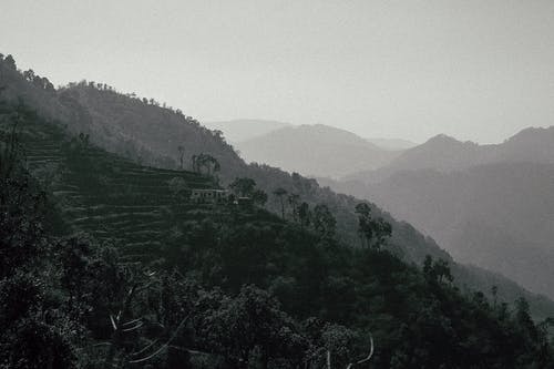 有关不变, 冷静, 华丽的的免费素材图片