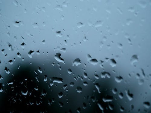 有关水滴, 湿, 特写的免费素材图片