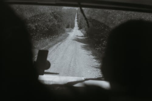 有关bw, 一起, 不露面的免费素材图片