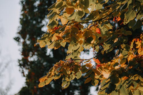 有关充满活力, 公园, 冷静的免费素材图片