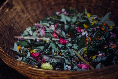 有关作文, 分公司, 味道的免费素材图片