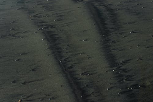 有关Copyspace, 全画幅, 冷静的免费素材图片