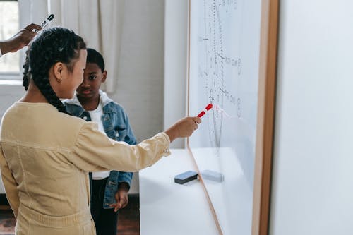 多种族的学生谈论课程，并指向白板 · 免费素材图片