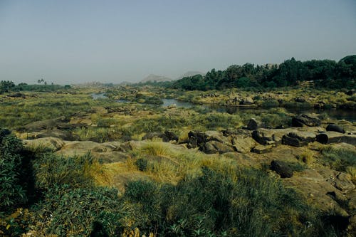 有关不变, 华丽的, 卵石的免费素材图片
