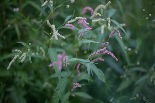 有关全年, 味道, 场景的免费素材图片